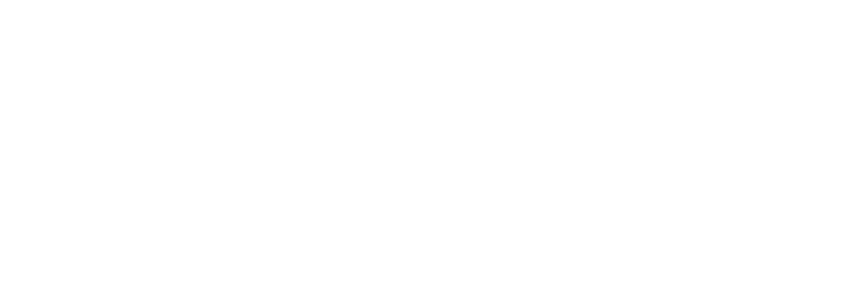the guardian logo