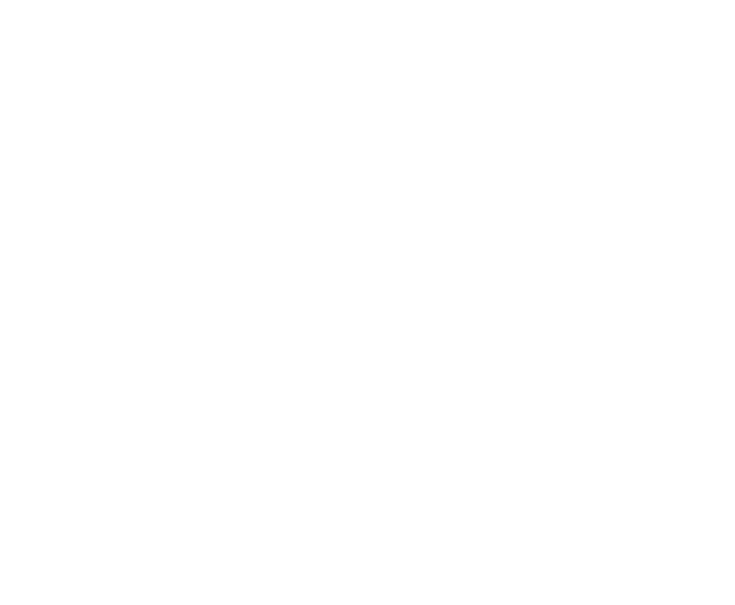 torus logo